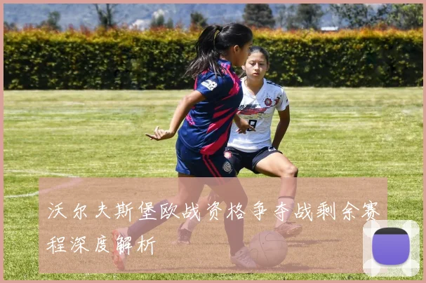 沃尔夫斯堡欧战资格争夺战剩余赛程深度解析